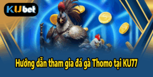 Hướng dẫn tham gia đá gà Thomo tại KU77